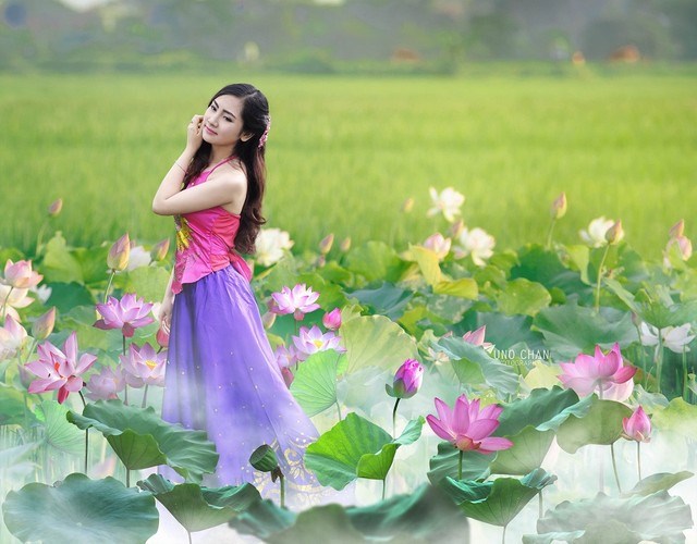 Ảnh[-]đẹp[-]thiếu[-]nữ[-]khoe[-]sắc[-]bên[-]hoa[-]sen[-]